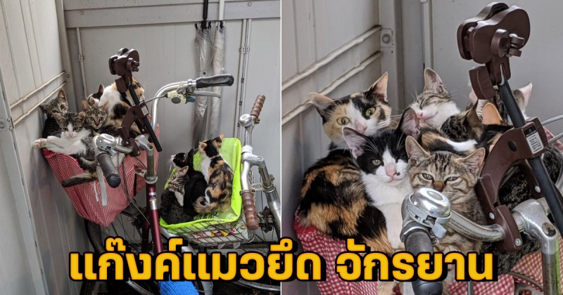 ทุกข์ชาวบ้าน ปั่นจักรยานไปทำงานไม่ได้