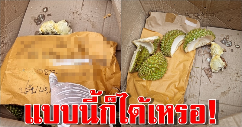 แฉยับขนส่งดัง แอบกินทุเรียนในกล่อง แถมทิ้งเม็ดไว้ให้ดูต่างหน้า